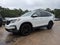 2021 Honda Pilot Black Edition